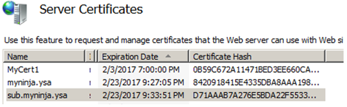 IIS Server Certificates